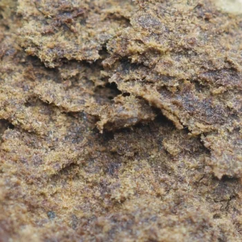 Gros plan sur la résine CBD Amsterdam H, texture riche et malléable. Un produit premium proposé par Amsterdam Quality