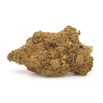 Bud de fleurs CBD premium White Widow, Indoor, par Amsterdam Quality. Structure dense, trichomes abondants et pistils orange vif. Saveurs boisées et légèrement poivrées.