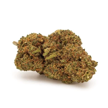 Bud de fleurs CBD premium Sour Diesel, Indoor, par Amsterdam Quality. Nuances vert clair et pistils orange, arôme intense de citron et de carburant.