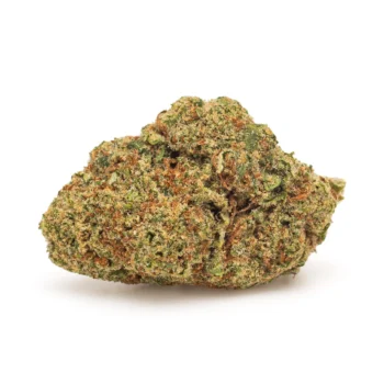 Bud de fleurs CBD premium Gorilla Glue #4, Indoor, par Amsterdam Quality. Structure compacte, arômes boisés et chocolatés.