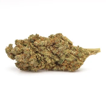 Bud de fleurs CBD Sour Diesel, Indoor, par Amsterdam Quality. Nuances vert clair et pistils orange, arôme intense de citron et de carburant.