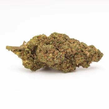 Fleur CBD Sunset Sherbet - Indoor - Amsterdam Quality. Arômes fruités et sucrés, dominance indica, culture indoor haut de gamme.