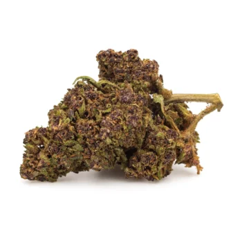 Fleur de CBD Purple Haze - Indoor - Amsterdam Quality