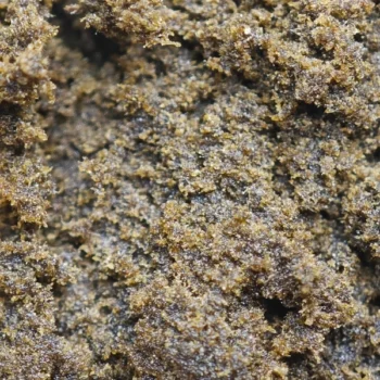 Gros plan sur la résine de CBN 28%, une résine puissante et riche en cannabinoïdes. Produit premium chez Amsterdam Quality