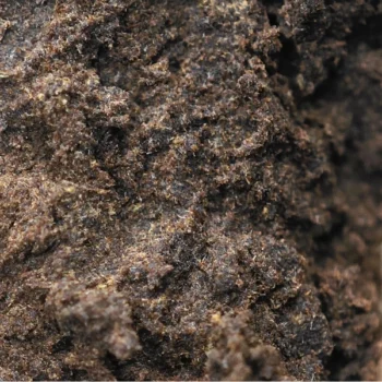 Résine Charas CBD, texture sombre et moelleuse, inspirée des méthodes traditionnelles. Une résine d’exception chez Amsterdam Quality.