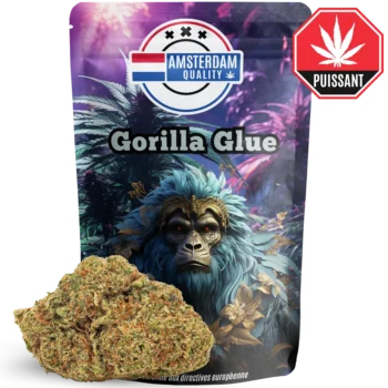 Amsterdam Quality | Boutique CBD Premium 9 Gorilla Glue #4 🇳🇱