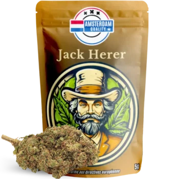 Sachet de 5g de fleurs CBD premium Jack Herer de la marque Amsterdam Quality. Variété légendaire aux notes épicées et boisées, cultivée en indoor. Fort taux de CBD avec un THC conforme à la réglementation.