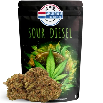 Fleurs CBD premium Sour Diesel, variété Indoor aux arômes épicés, boisés et légèrement citronnés. Effet énergisant et créatif, parfait pour un boost de motivation. Taux de THC légal (