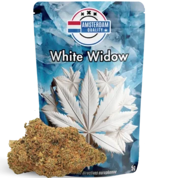 Sachet de fleurs CBD premium White Widow, culture Indoor, par Amsterdam Quality. Une variété culte aux notes terreuses et épicées, reconnue pour ses effets équilibrés entre relaxation et stimulation.