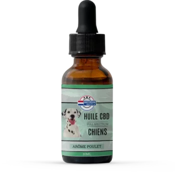Extrait Naturel au CBD pour Chien d'Amsterdam Quality spécialement formulé pour chiens.