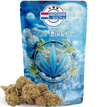 Fleur CBD Blue Dream - Indoor - Amsterdam Quality. Notes sucrées et fruitées, dominance sativa, culture intérieure premium.