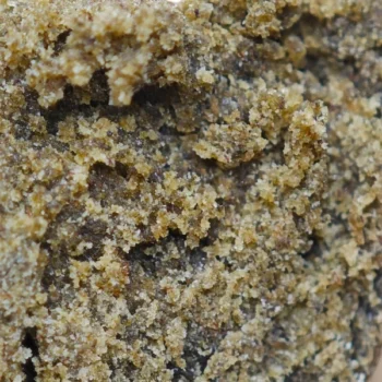 Résine Dry Ice avec 42% de CBD, extraite par cryogénisation pour une pureté maximale et une concentration intense en cannabinoïdes – Amsterdam Quality