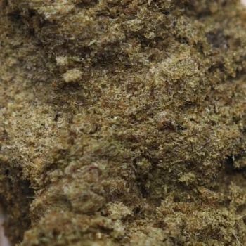 Résine CBD inspirée des traditions marocaines de Ketama, texture malléable et arôme épicé, idéale pour une détente profonde – Amsterdam Quality