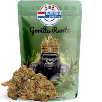 Fleur CBD Gorilla Runtz - Indoor - Amsterdam Quality. Variété hybride premium avec arômes sucrés et terreux, taux de THC < 0,3%.